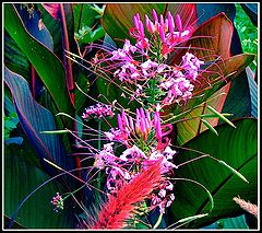 фото "Pink Bullets Ballet"