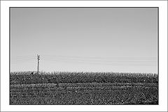 photo "Melancholia."