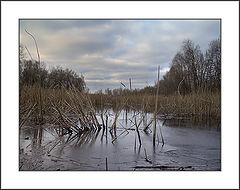 photo "the winter symphony..."