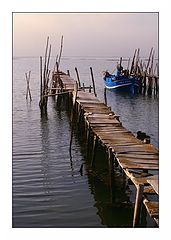 photo "Wood port"