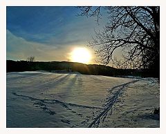 photo "Ski track"