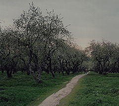 photo "untitled"