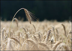 photo "A U G U S T  2 0 0 4"