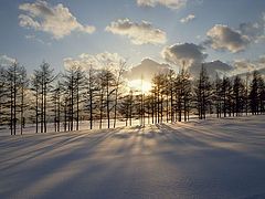 фото "Neige"