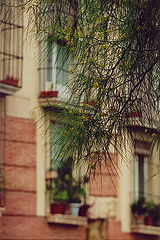 photo "untitled"
