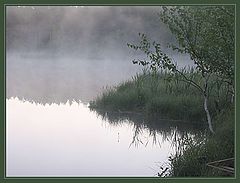 фото "Безмолвие"