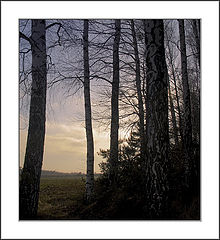photo "winter 2005 #5"