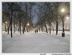 photo "Snow-fall"