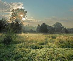 photo "July morning"