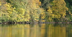 фото "Fall on Lacamas Lake"