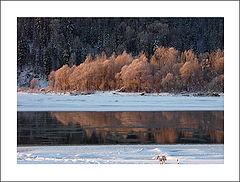 фото "Рыжий остров"