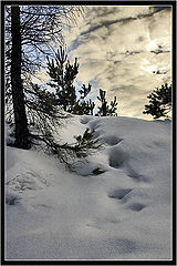 фото "зимой в гору"