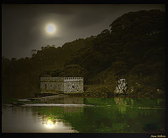 photo "Moonlight"