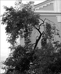 фото "[BW] II"