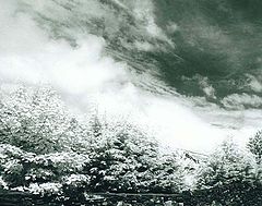 photo "Thunder Clouds"