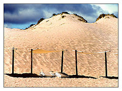фото "At the beach"