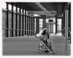 photo "In Transit"