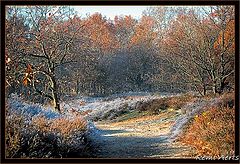 фото "wintermorning"