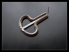 photo "The Ukrainian simplest music instrument - drymba"