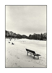 photo "untitled"