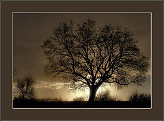 photo "silhouettes *1: the symphony in sepia"