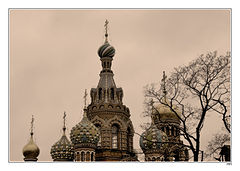 фото "Кадр №836. Лики Петербурга #010"