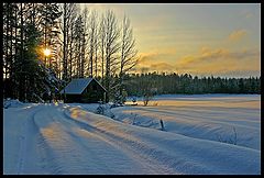 фото "Winter day"