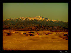 photo "Untitled photo"