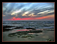 фото ""present of nature""