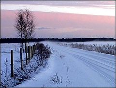 photo "The winter fog"