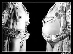 photo "Life inside..."