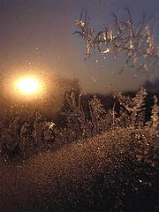 photo "frost at a window"
