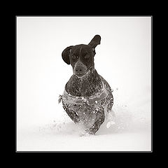фото "Haste"