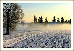 фото "*****(5)"