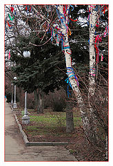 фото "Tree of happiness"