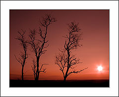 photo "silhouettes #2: the symphony in red"
