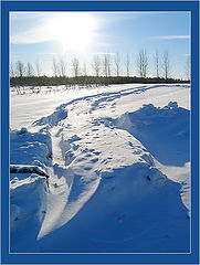 photo "A Winter Fairytale"