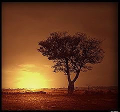 photo "Sunrise at Tras os Montes"