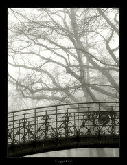 фото "hunting for fog"