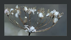 фото "Коктейль "Осень со льдом""