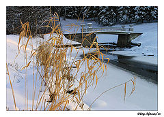 photo "Pavlovsk " The pig-iron bridge ""