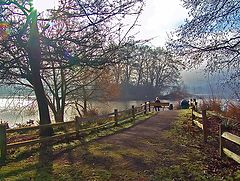photo "Quiet Morning"