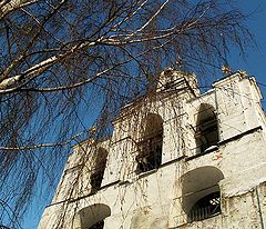 photo "Untitled photo"