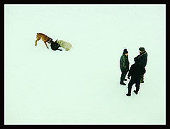 photo "Friends"