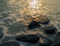 фото "Evening"