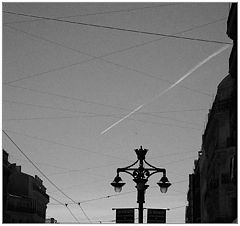 photo "Marcel. Draw"