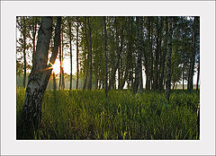 photo "nostalgia"
