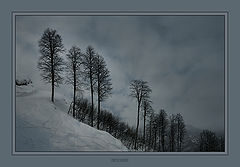 фото "***"