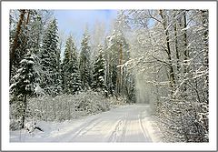 фото "*****(6)"