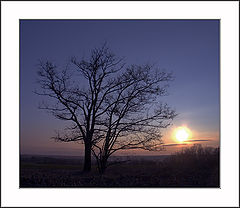 photo "silhouettes #3: the symphony in blue"